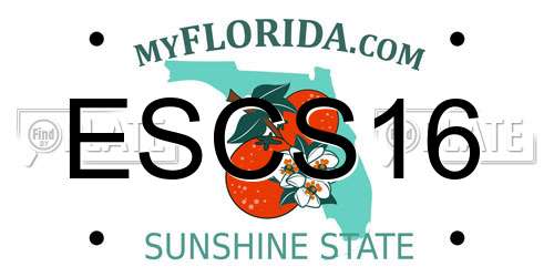 ESCS16 Florida License Plate