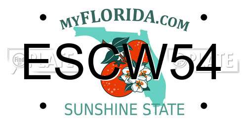 ESCW54 Florida License Plate