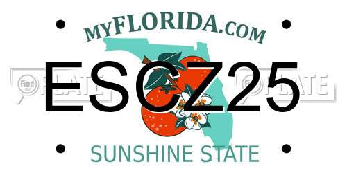 ESCZ25 Florida License Plate