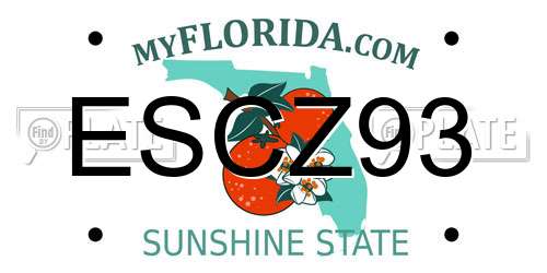 ESCZ93 Florida License Plate