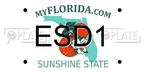 ESD1 Florida License Plate