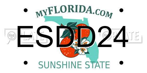ESDD24 Florida License Plate