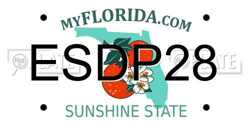 ESDP28 Florida License Plate