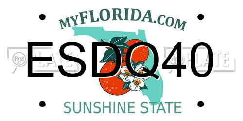 ESDQ40 Florida License Plate