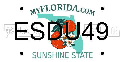 ESDU49 Florida License Plate