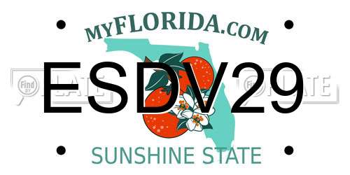 ESDV29 Florida License Plate