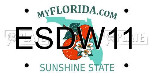 ESDW11 Florida License Plate