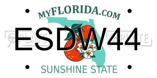 ESDW44 Florida License Plate