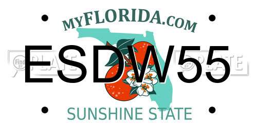 ESDW55 Florida License Plate