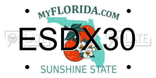ESDX30 Florida License Plate
