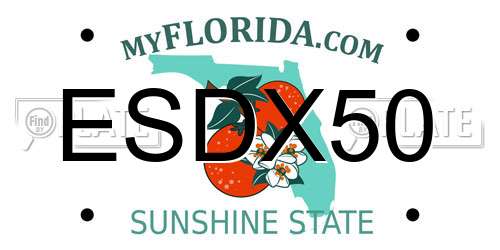 ESDX50 Florida License Plate