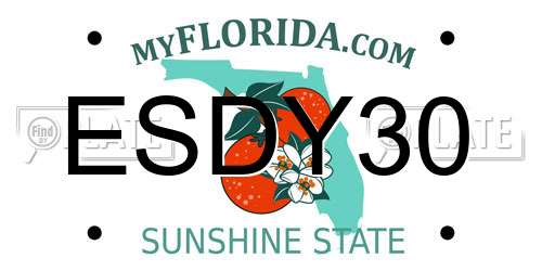 ESDY30 Florida License Plate