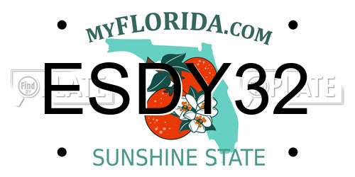 ESDY32 Florida License Plate
