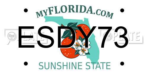 ESDY73 Florida License Plate