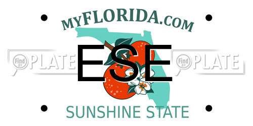 ESE Florida License Plate