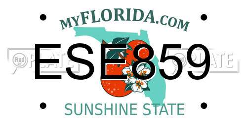 ESE859 Florida License Plate