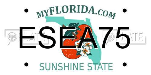 ESEA75 Florida License Plate