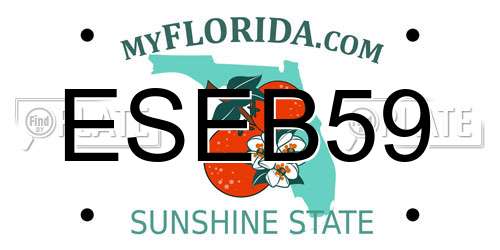 ESEB59 Florida License Plate