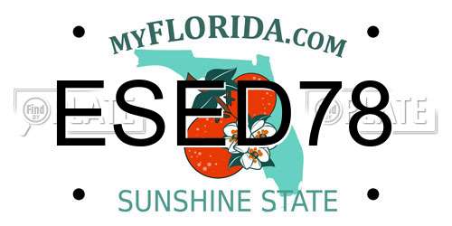 ESED78 Florida License Plate