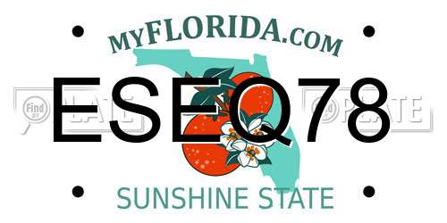 ESEQ78 Florida License Plate
