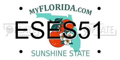 ESES51 Florida License Plate