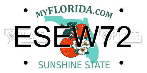 ESEW72 Florida License Plate