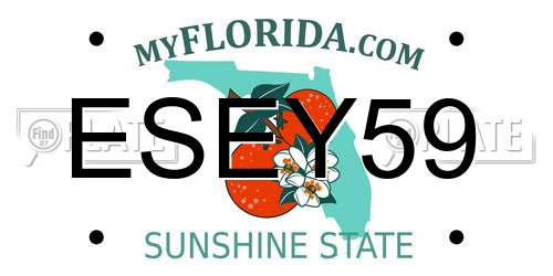 ESEY59 Florida License Plate