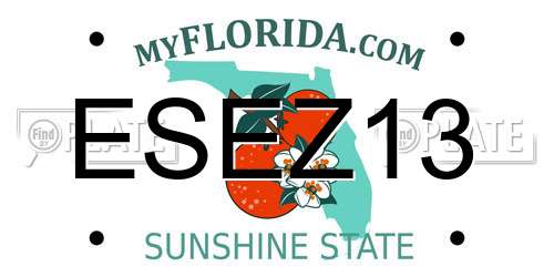 ESEZ13 Florida License Plate
