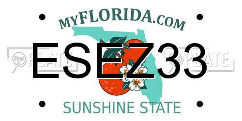 ESEZ33 Florida License Plate