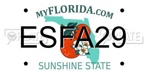 ESFA29 Florida License Plate