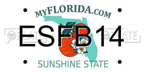 ESFB14 Florida License Plate