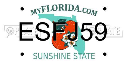 ESFJ59 Florida License Plate