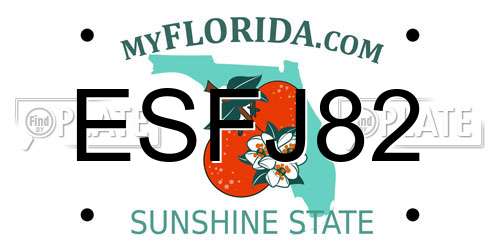 ESFJ82 Florida License Plate