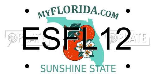 ESFL12 Florida License Plate