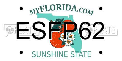 ESFP62 Florida License Plate