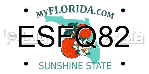 ESFQ82 Florida License Plate