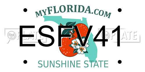 ESFV41 Florida License Plate