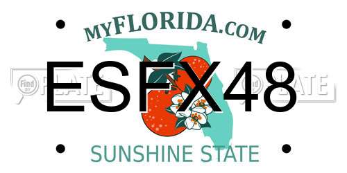 ESFX48 Florida License Plate