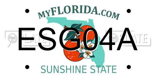 ESG04A Florida License Plate