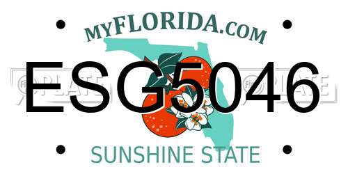 ESG5046 Florida License Plate