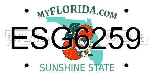 ESG6259 Florida License Plate