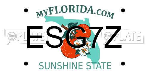 ESG7Z Florida License Plate