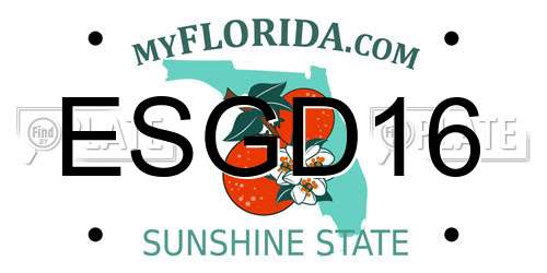 ESGD16 Florida License Plate