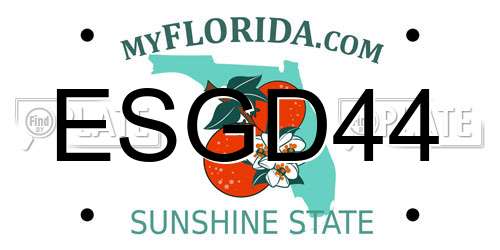 ESGD44 Florida License Plate