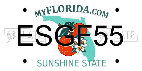 ESGF55 Florida License Plate