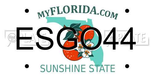 ESGO44 Florida License Plate