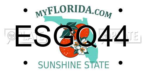 ESGQ44 Florida License Plate