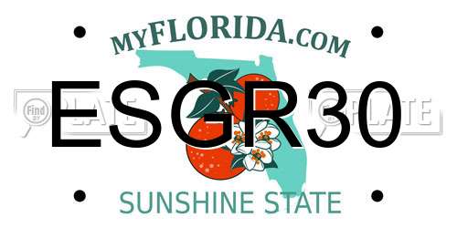 ESGR30 Florida License Plate