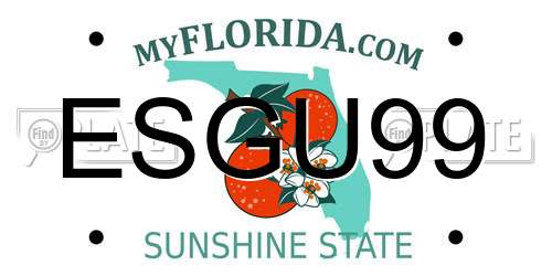 ESGU99 Florida License Plate