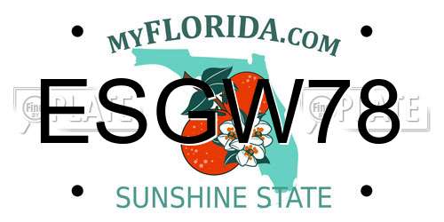 ESGW78 Florida License Plate